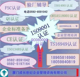 安徽ISO9001:2015精细化辅导咨询 信息咨询服务升级与体系优化新路径